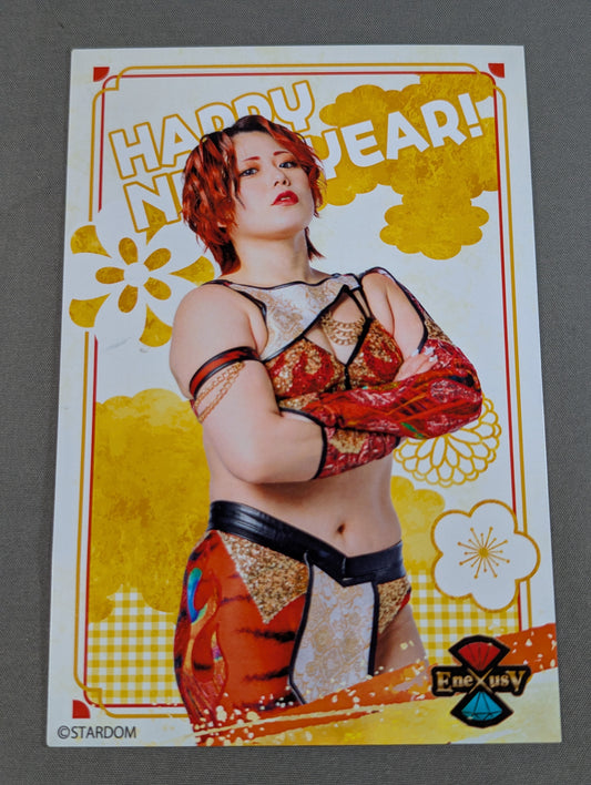Maika  HAPPY NEW YEAR Postcard