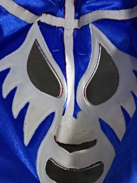 ミル・マスカラス – 闘道館