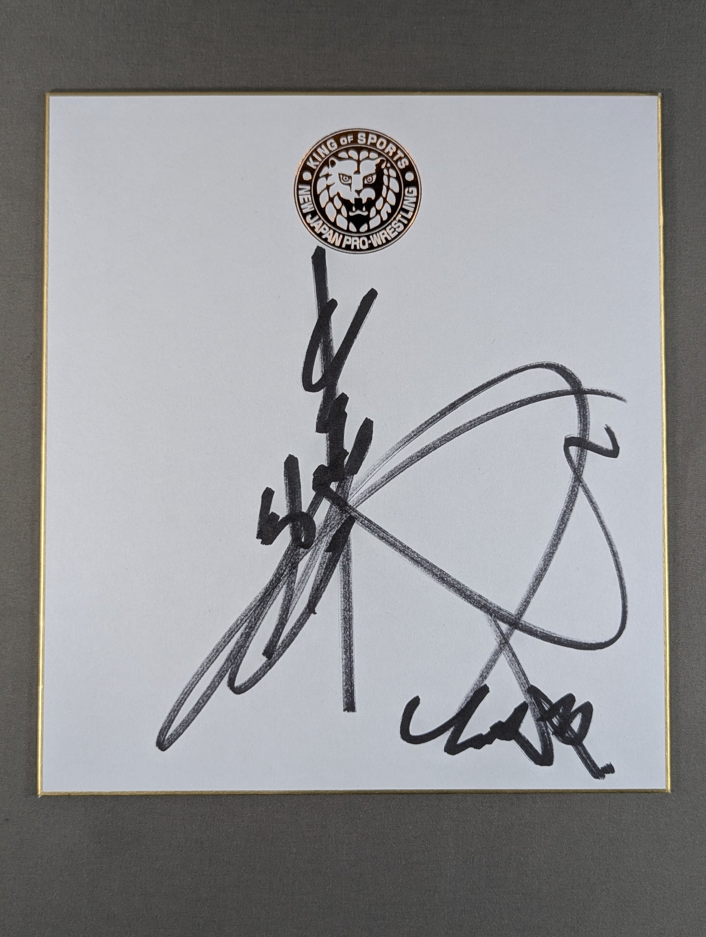 Kosei Fujita  (Lion Mark Shikishi ( Autograph board ) )
