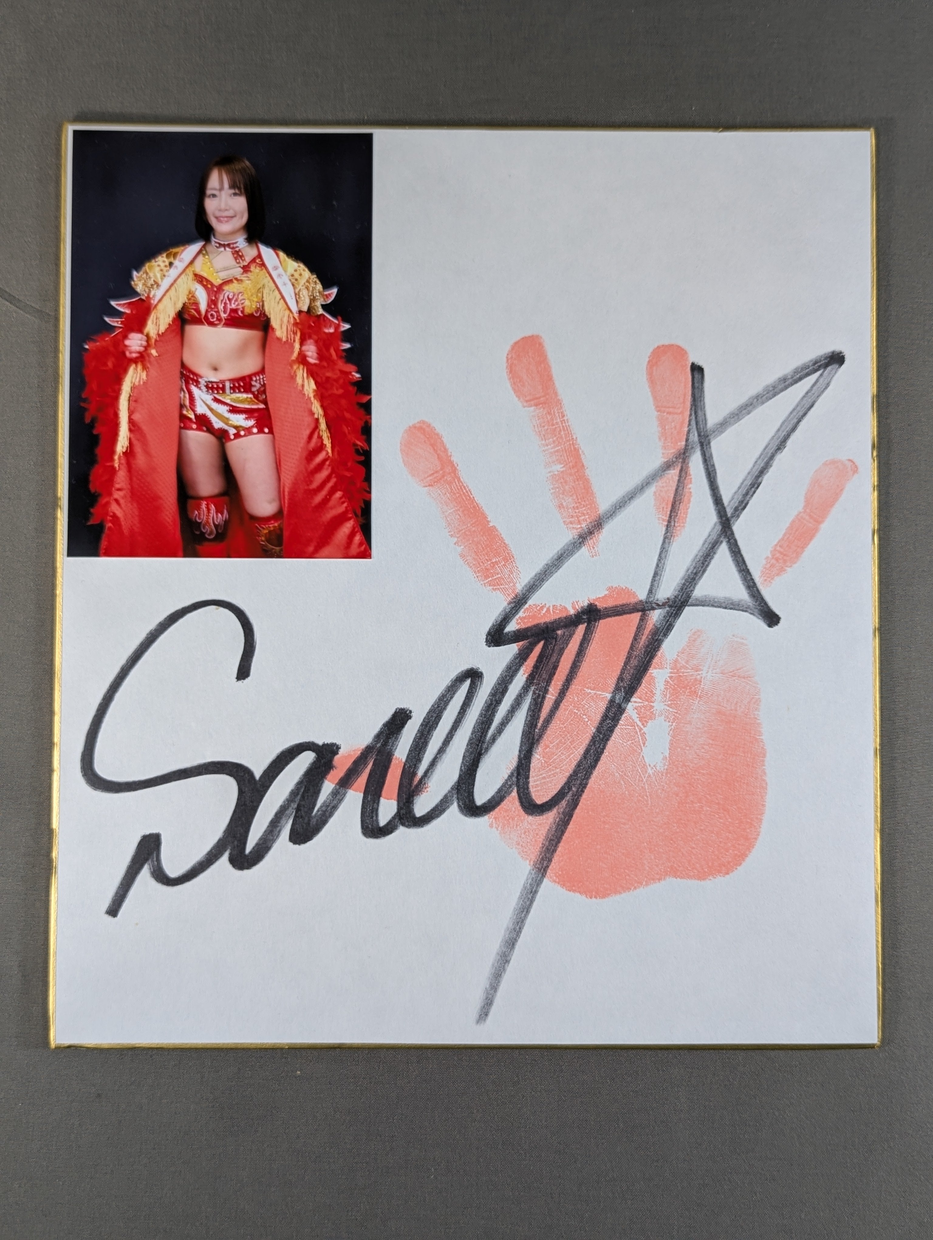 サイン色紙 – 闘道館