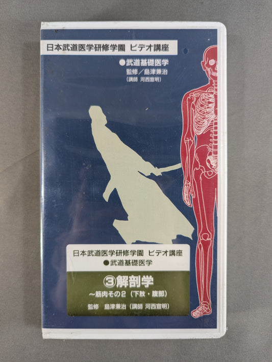 Nippon Martial Arts Medical Training School Video Course (3) Anatomy ~ Muscles Part 2 (Lower Limbs and Abdomen)