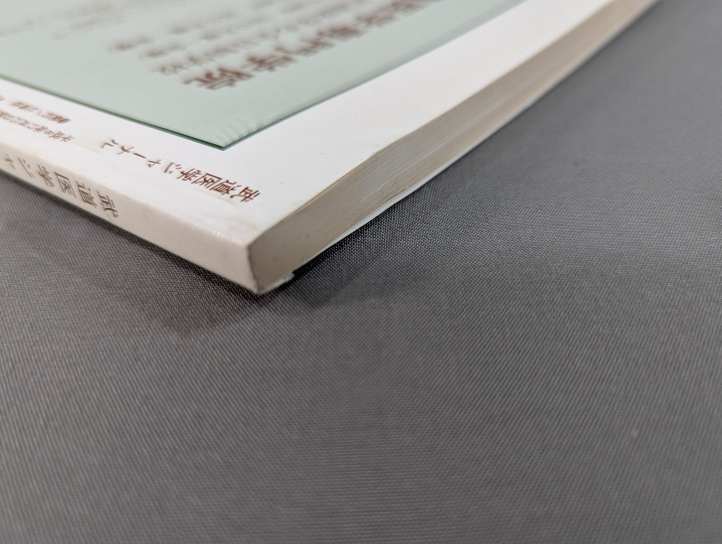 Journal of Martial Arts Medicine Vol.7 Limited Edition