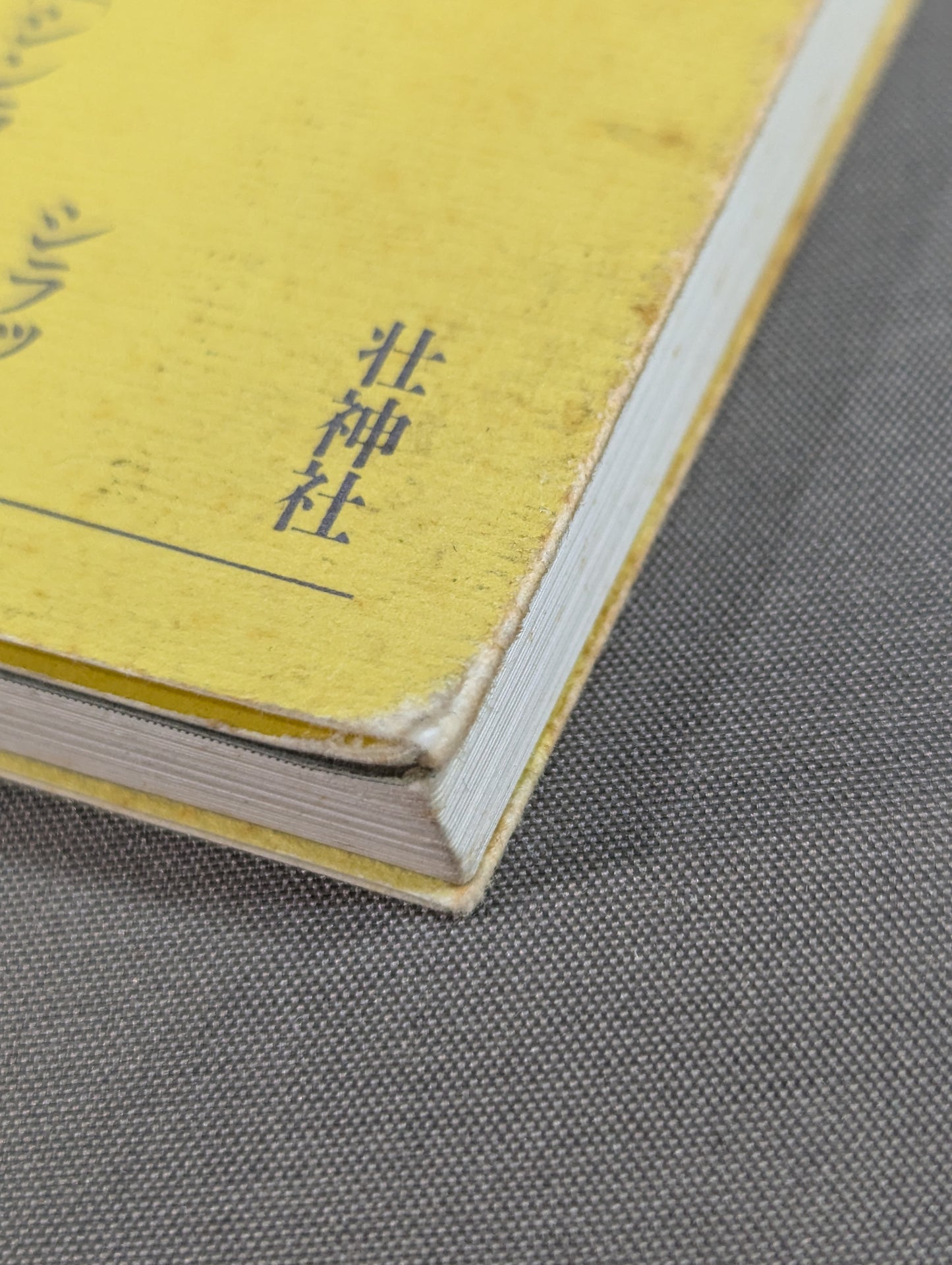 Indonesian Kenpo Silat Shinlamba School Basics