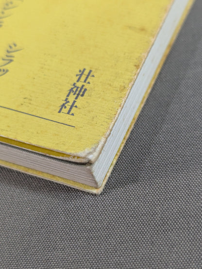 Indonesian Kenpo Silat Shinlamba School Basics