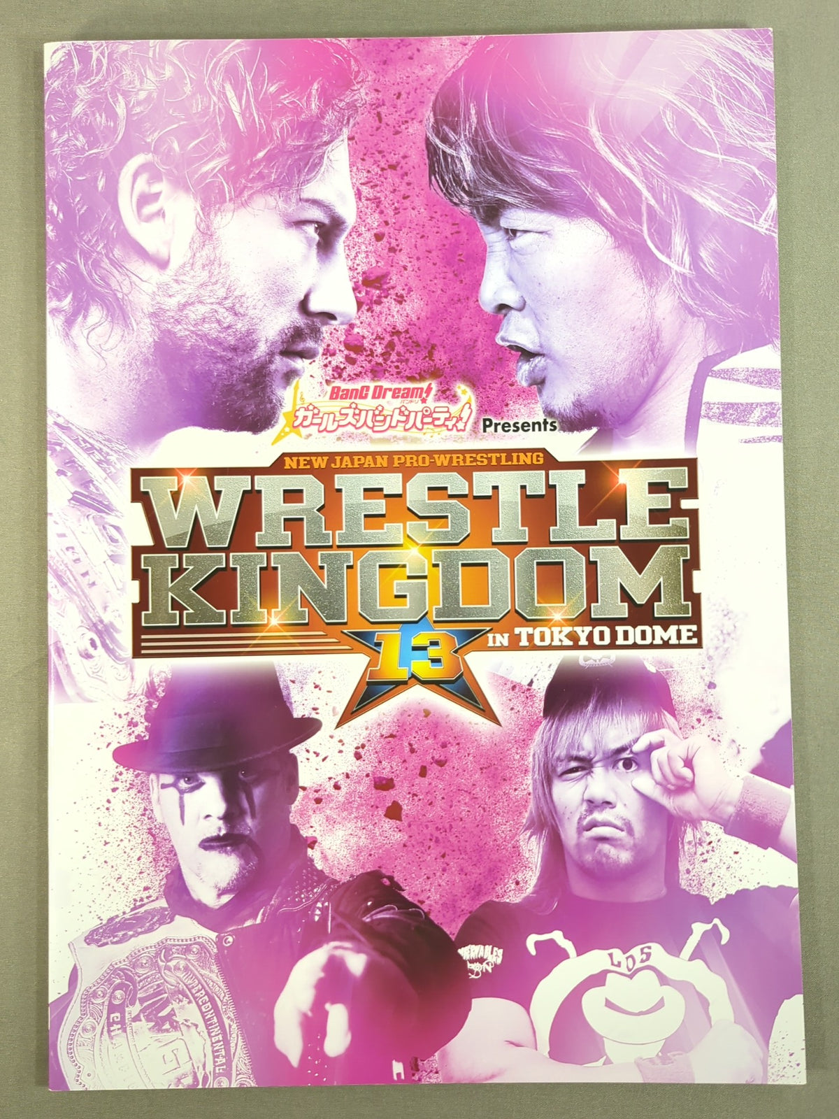 WRESTLE KINGDOM 13
