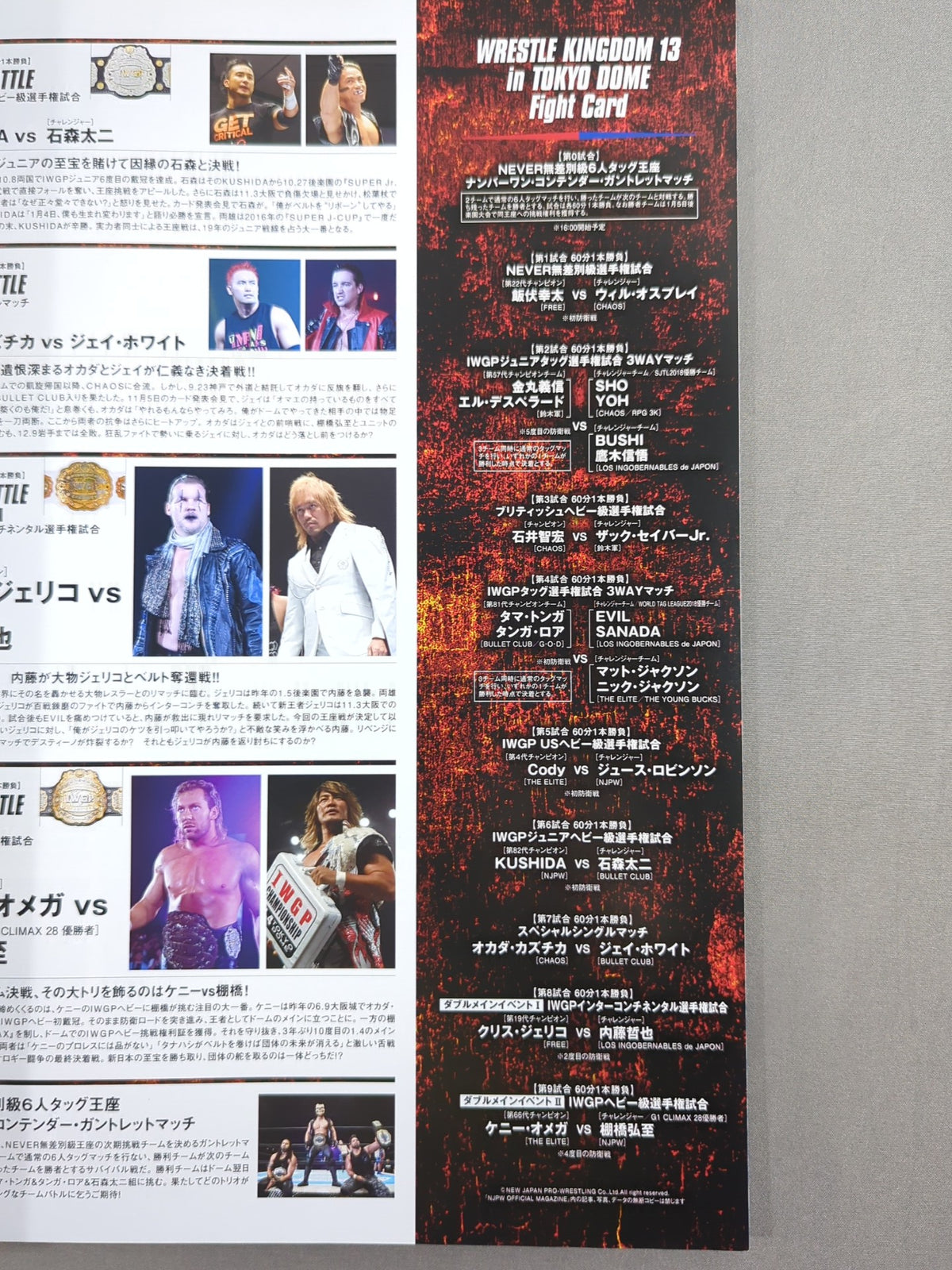 WRESTLE KINGDOM 13