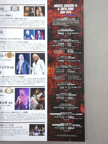 WRESTLE KINGDOM 13