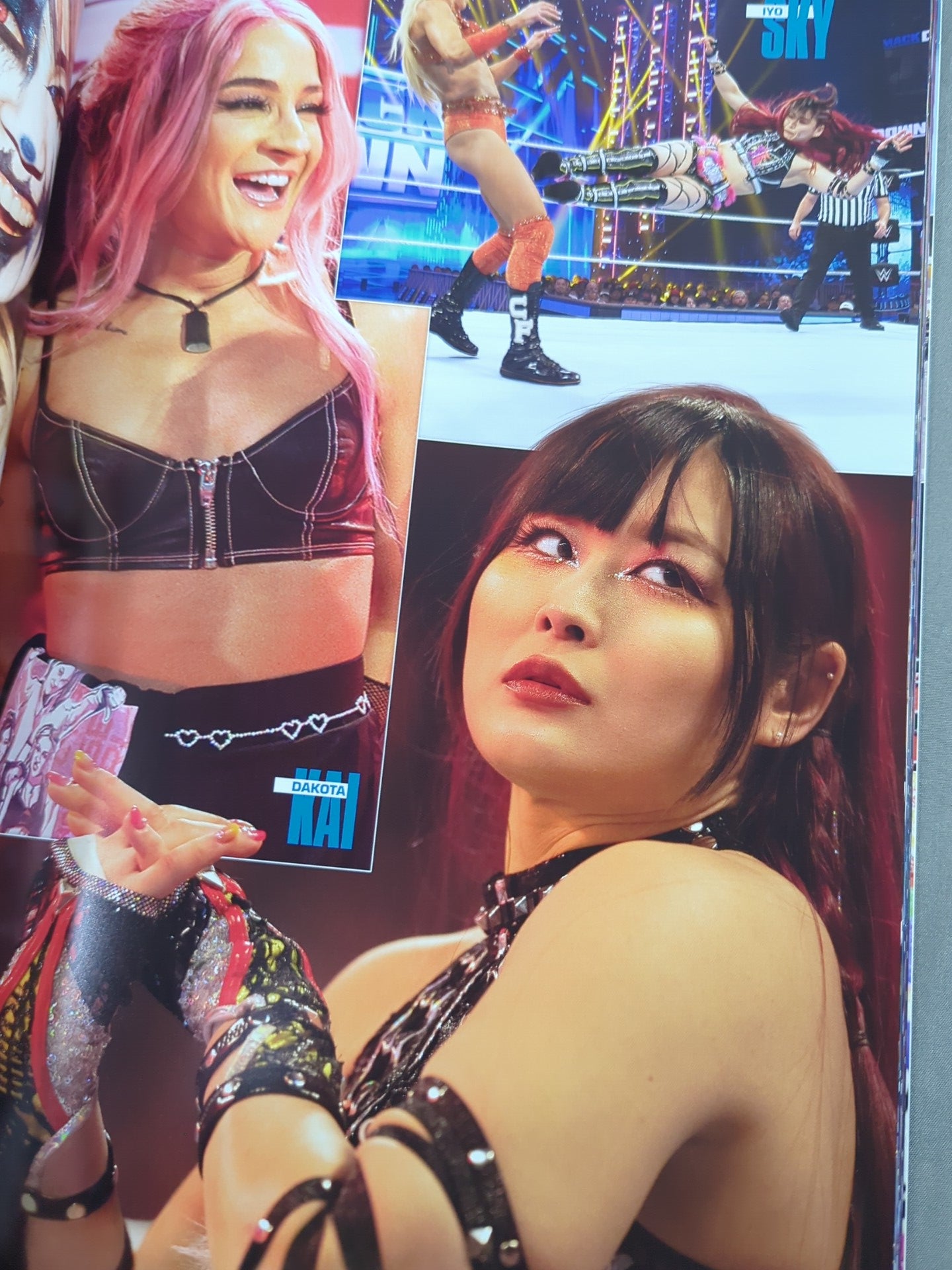 WWE OFFICIAL PROGRAM 2024