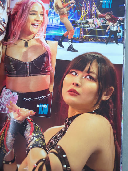 WWE OFFICIAL PROGRAM 2024