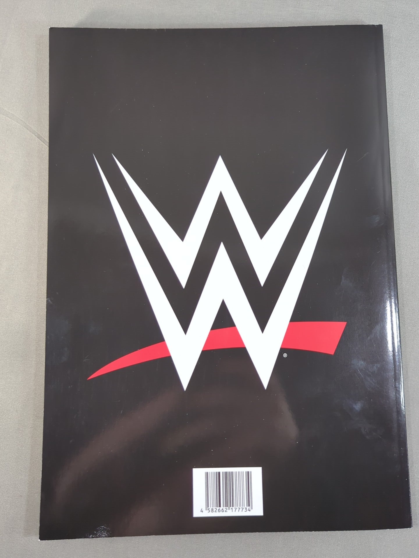 WWE OFFICIAL PROGRAM 2024