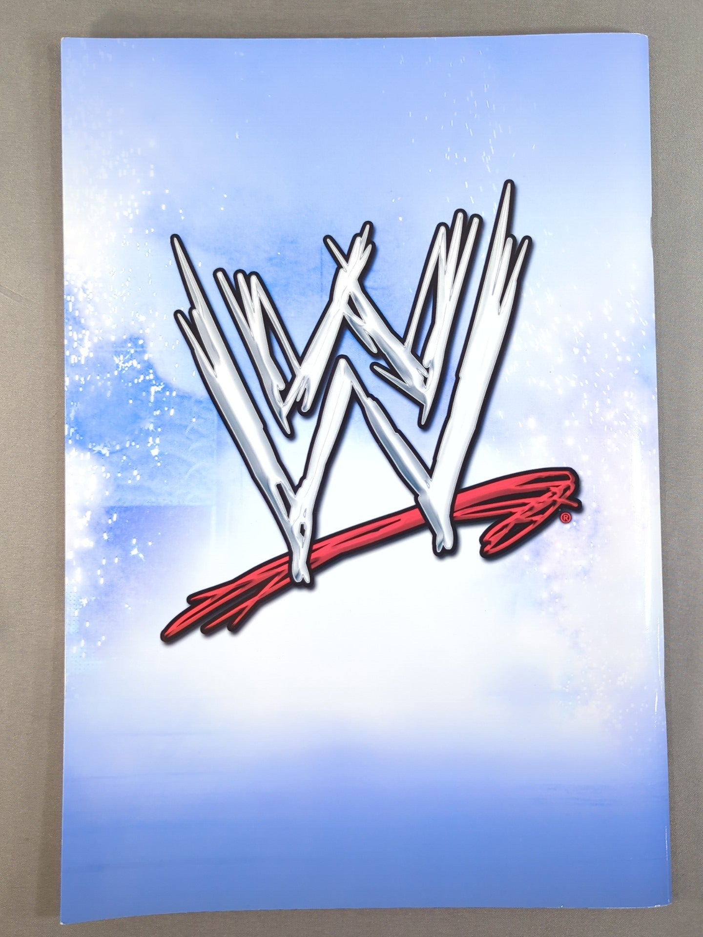 WWE SMACKDOWN! TOUR OFFICIAL SOUVENIR PROGRAM 2006 – 闘道館