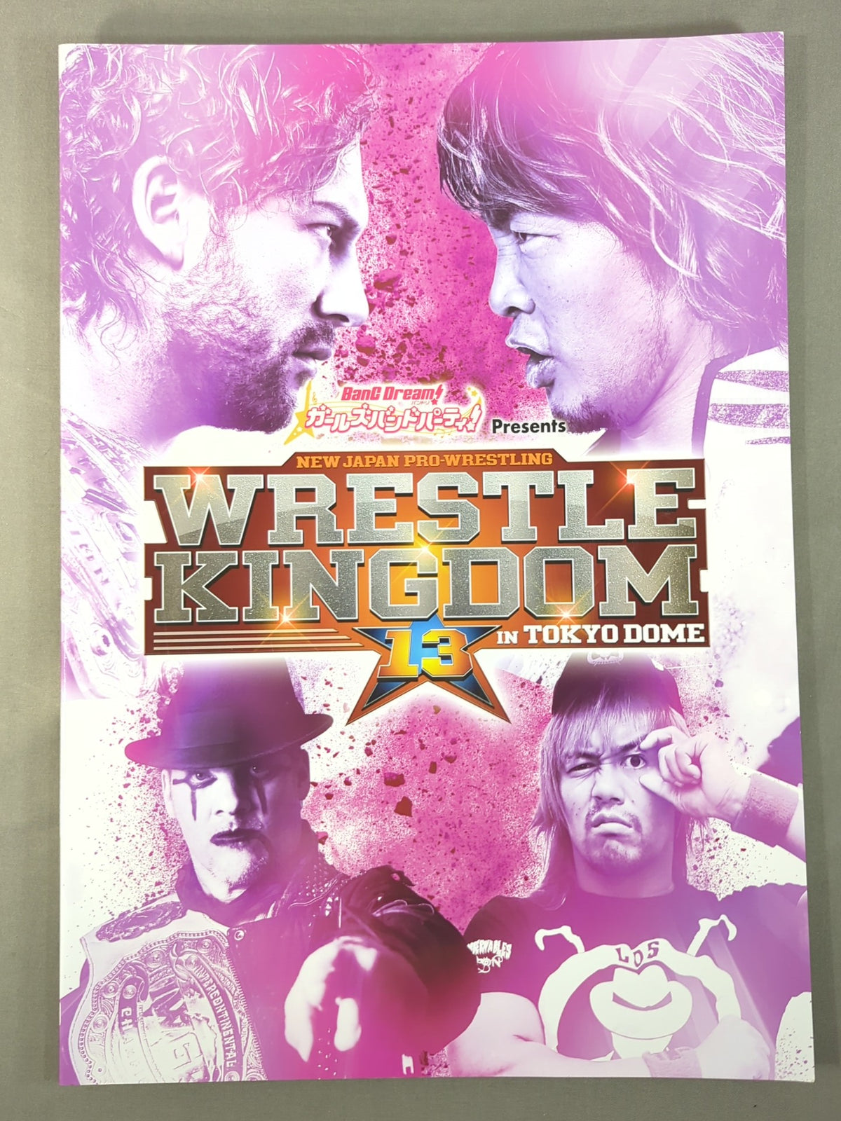 レッスルキングダム13 / WRESTLE KINGDOM 13