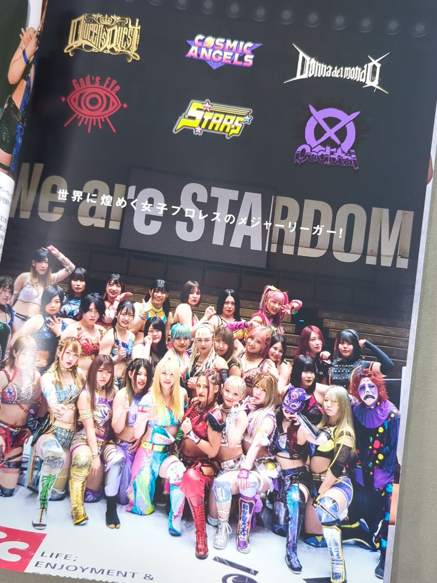 STARDOM OFFICIAL GUIDE BOOK Vol.142