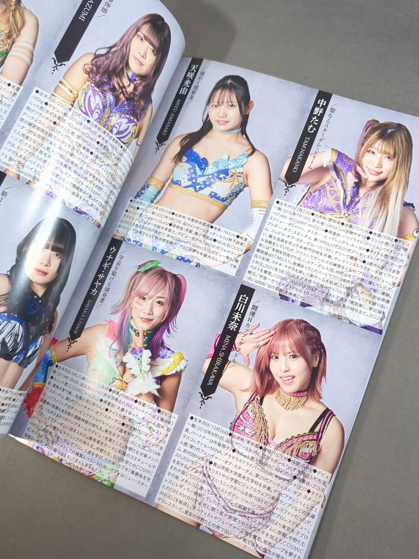 STARDOM OFFICIAL GUIDE BOOK Vol.142