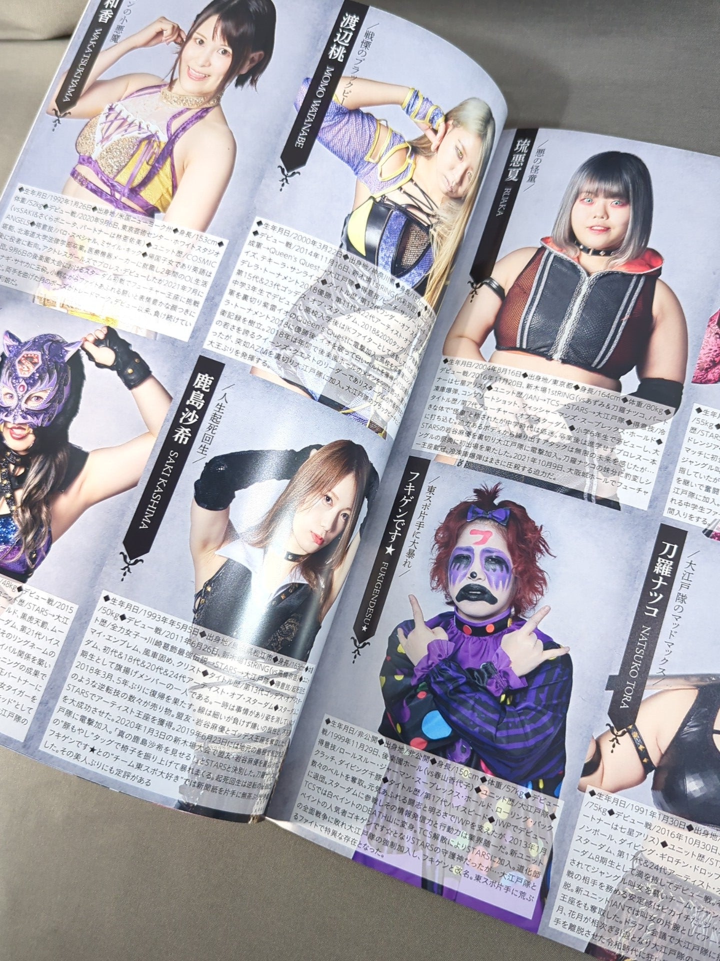 STARDOM OFFICIAL GUIDE BOOK Vol.142