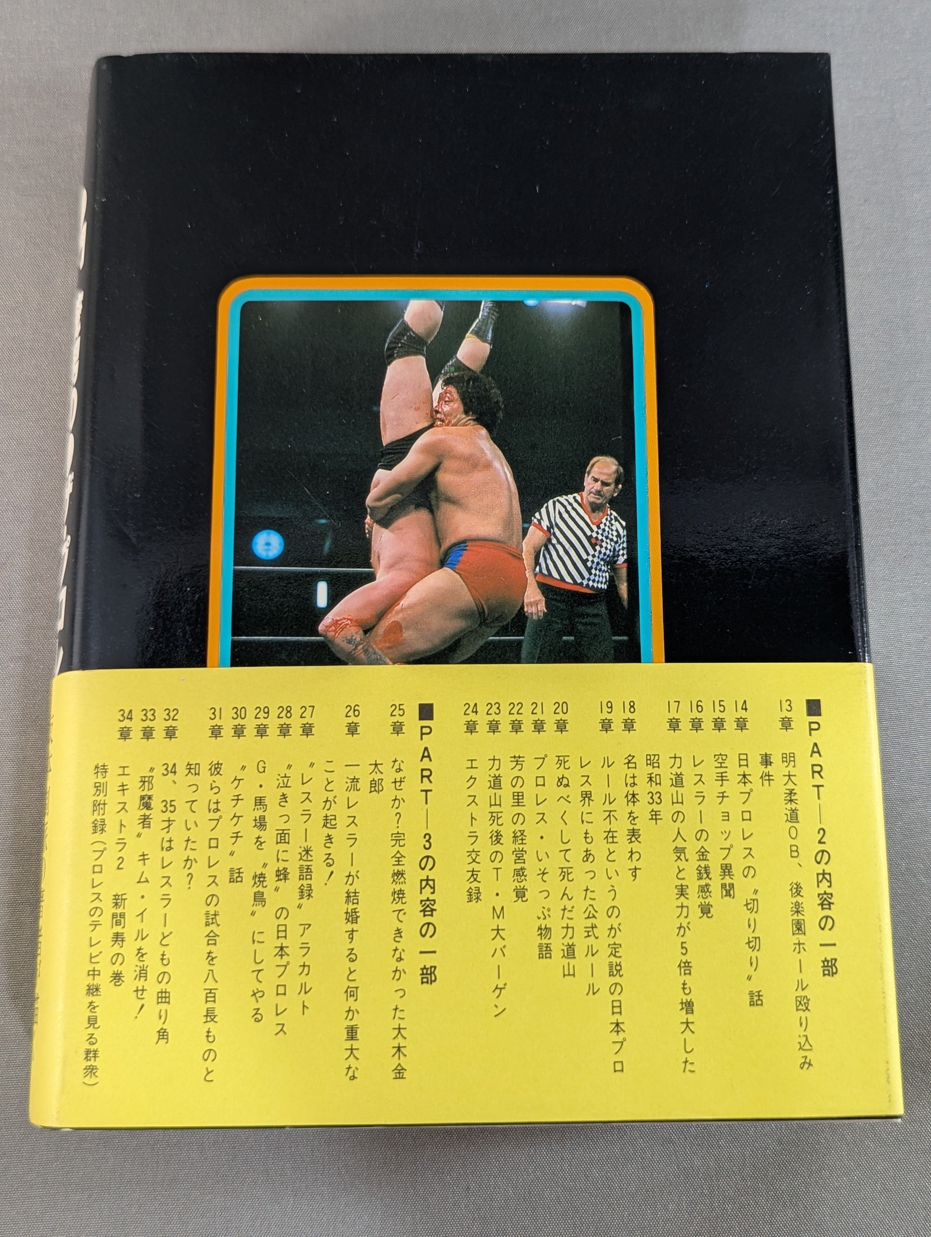 著者 直筆サイン入り】門茂男のザ・プロレス365 Part.4 – 闘道館
