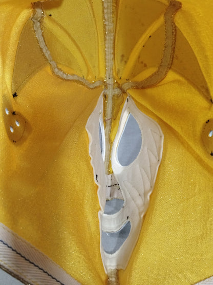 Bamboo crow (Go Takemura)