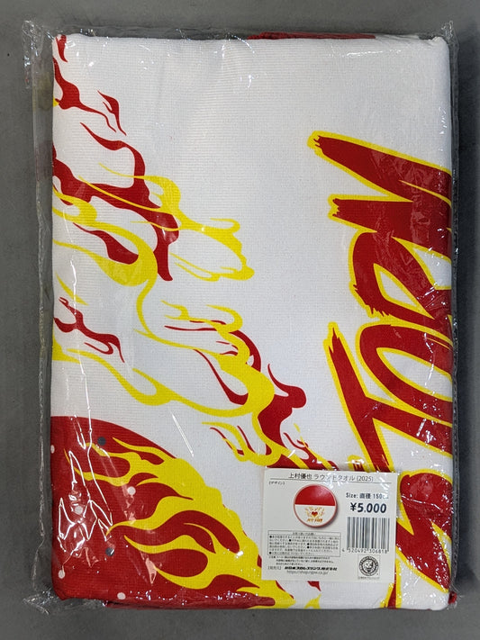 Yuya Uemura  Round Towel (2025)