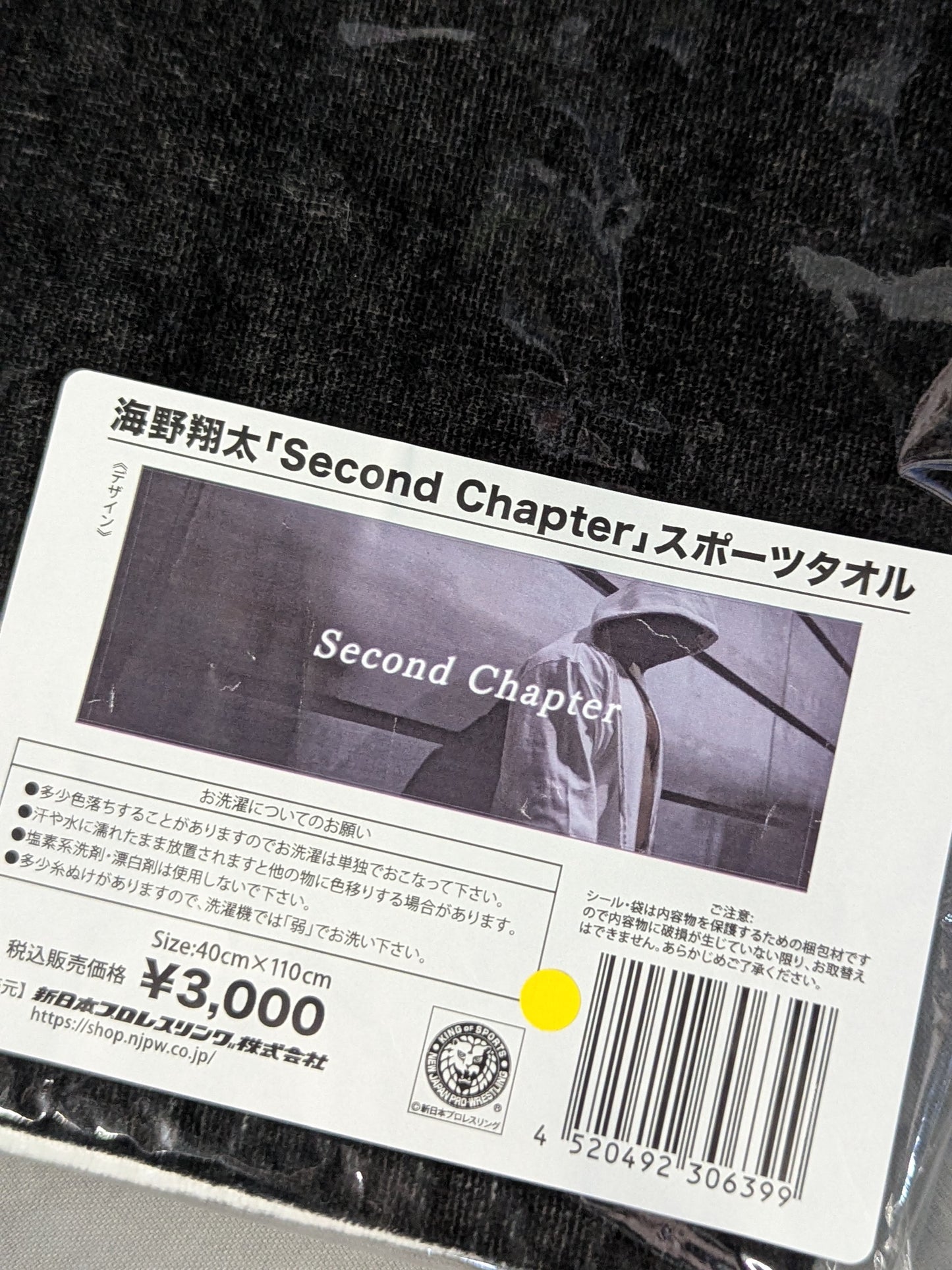 Shota Umino  "Second Chapter" Sports Towel