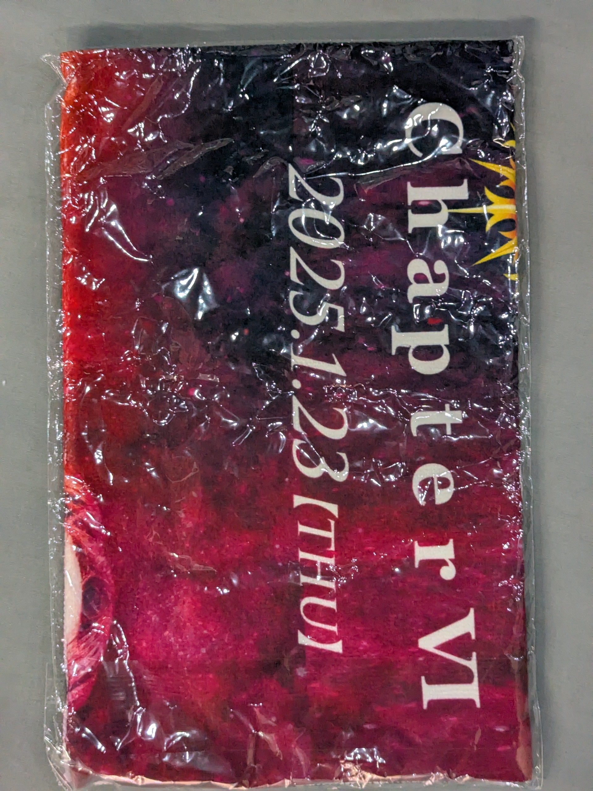 ☆非売品☆ SareeeISM Chapter.Ⅵ スポーツタオル – 闘道館
