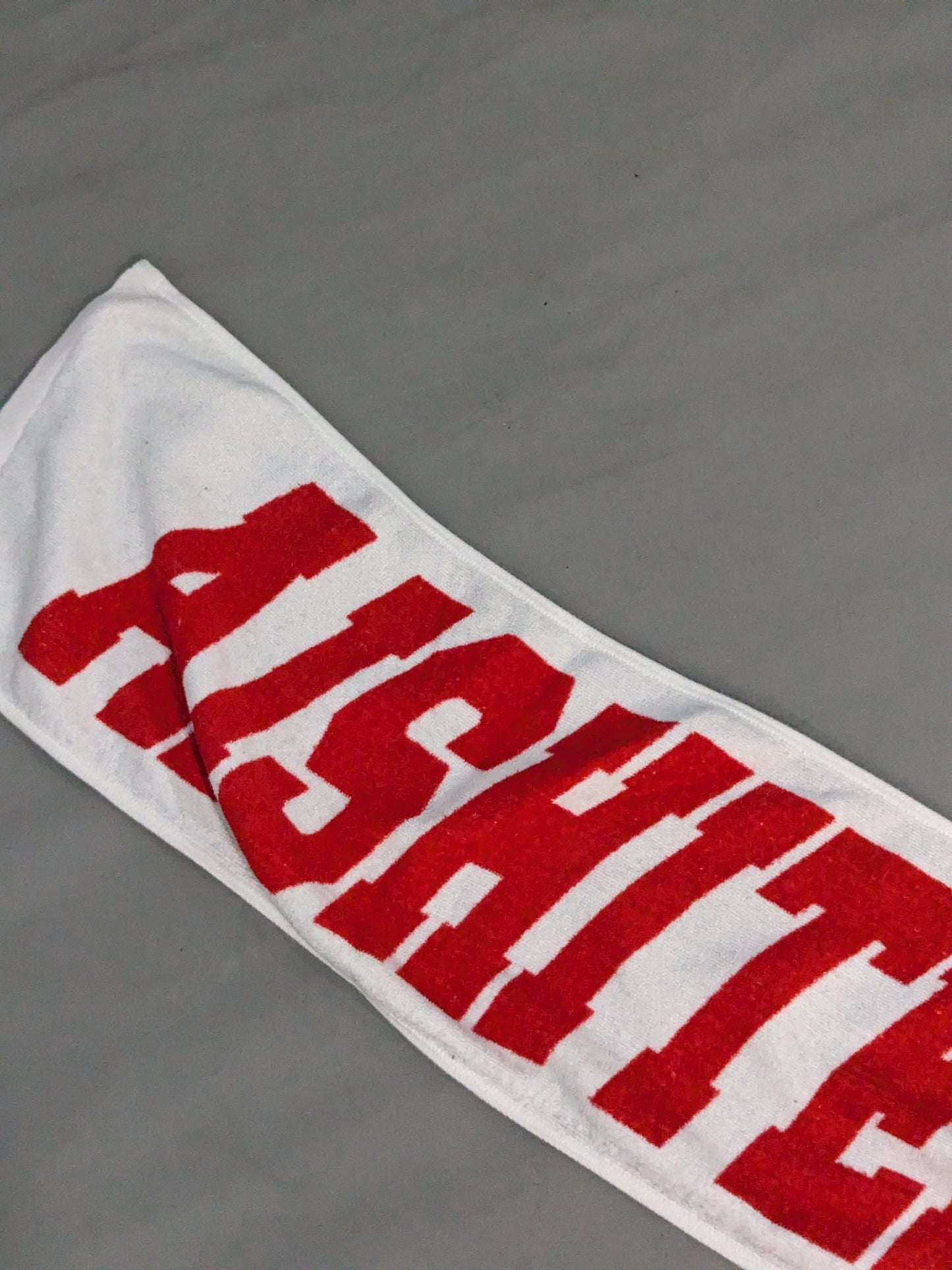 Hiroshi Tanahashi  "AISHITEMAAACE!" Muffler Towel