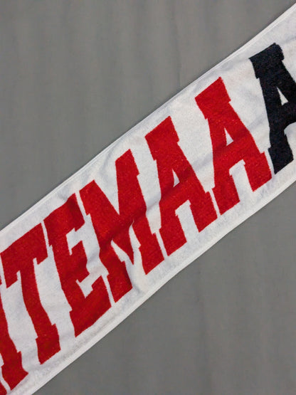 Hiroshi Tanahashi  "AISHITEMAAACE!" Muffler Towel