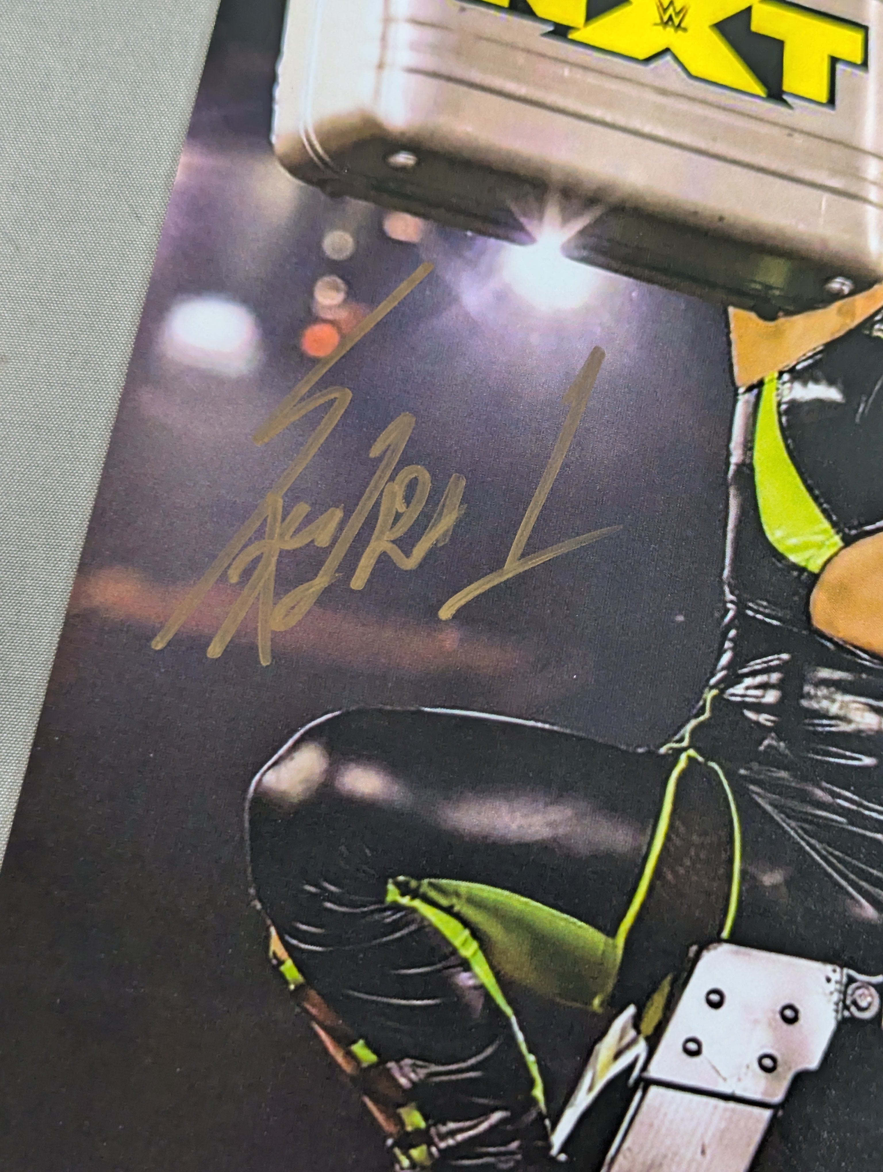 ☆JSA☆ 紫雷イオ 直筆サイン入りポートレート(ラダー) – 闘道館