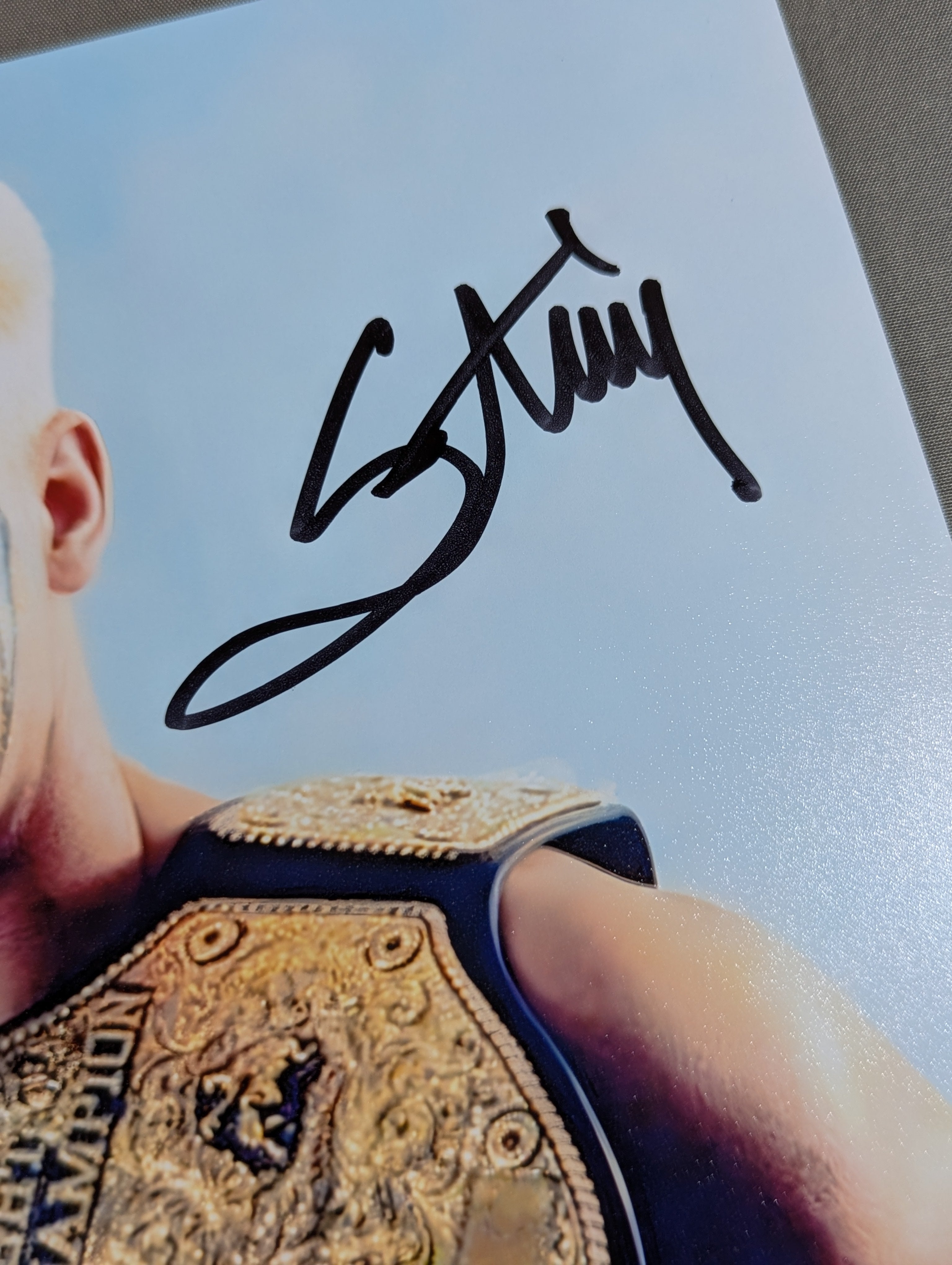 ☆JSA☆ スティング 直筆サイン入りポートレート(ベルト) – 闘道館