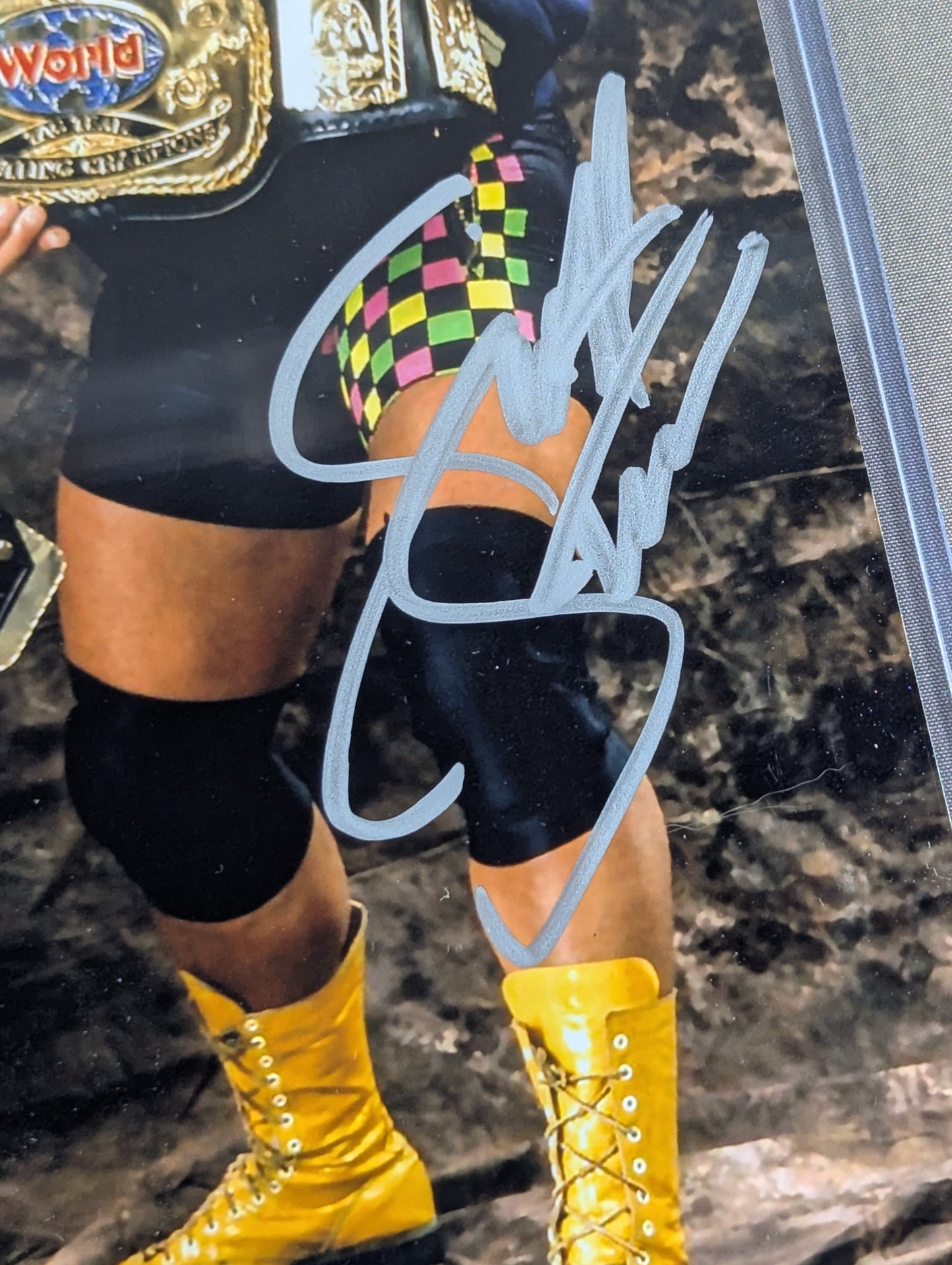 ★High Spots★ スタイナー・ブラザーズ 直筆サイン入り ポートレート(ジャイアント馬場)