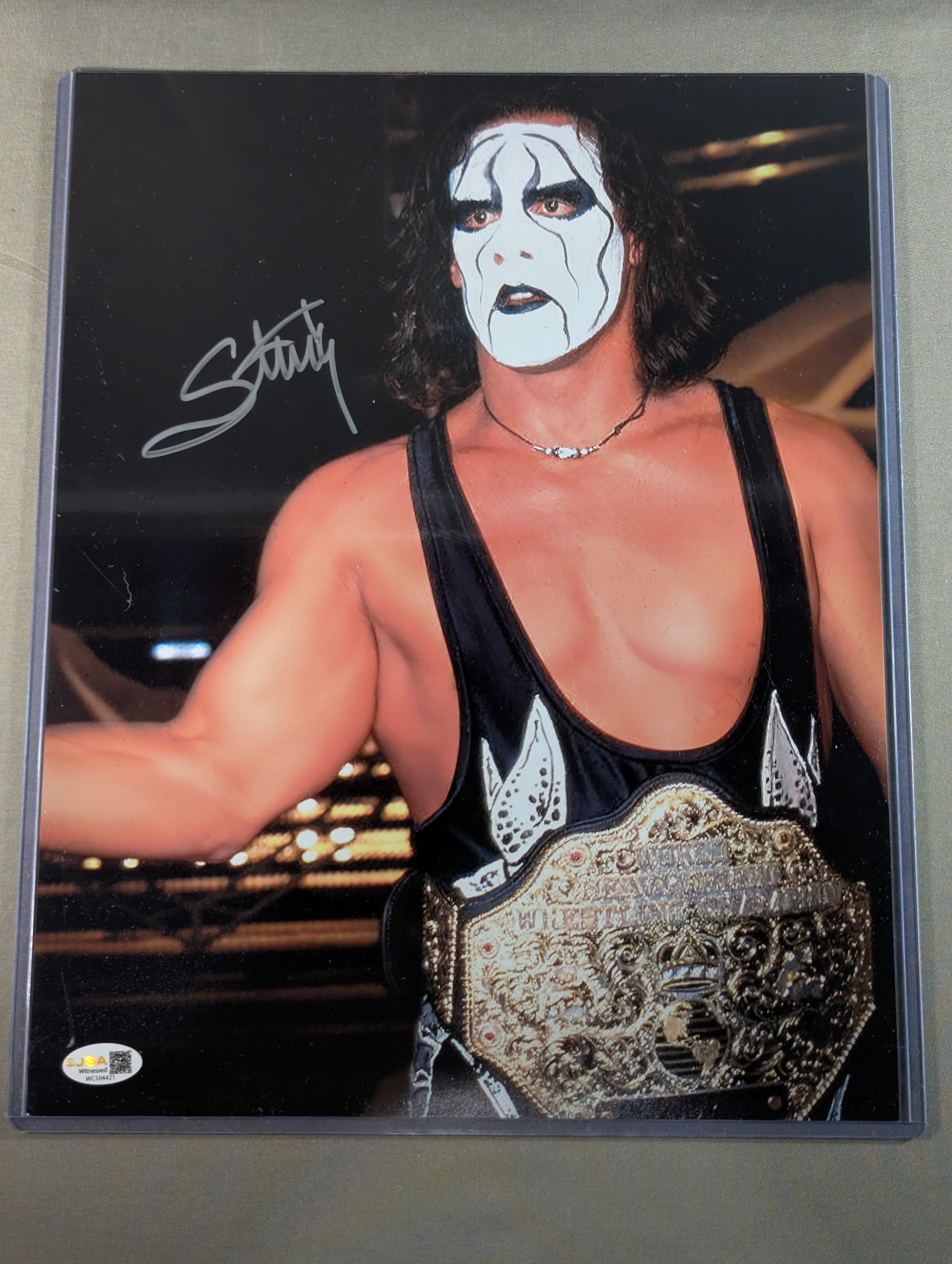 ☆JSA☆ スティング 直筆サイン入り 大型ポートレート(ペイント