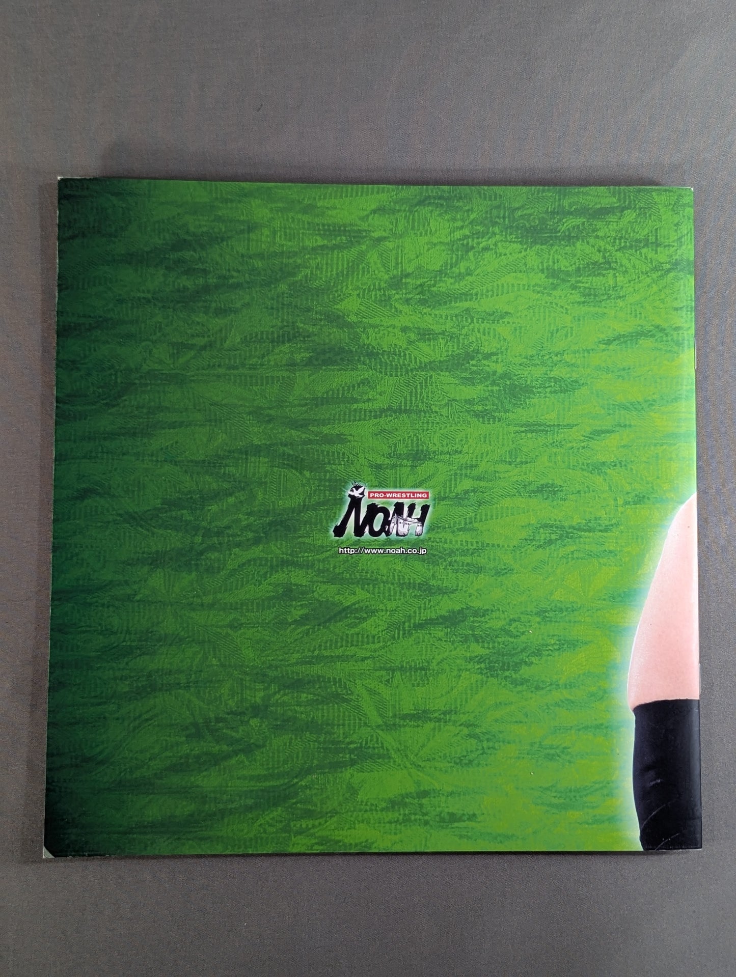 2007 The First Navigation / Nippon Budokan Tournament