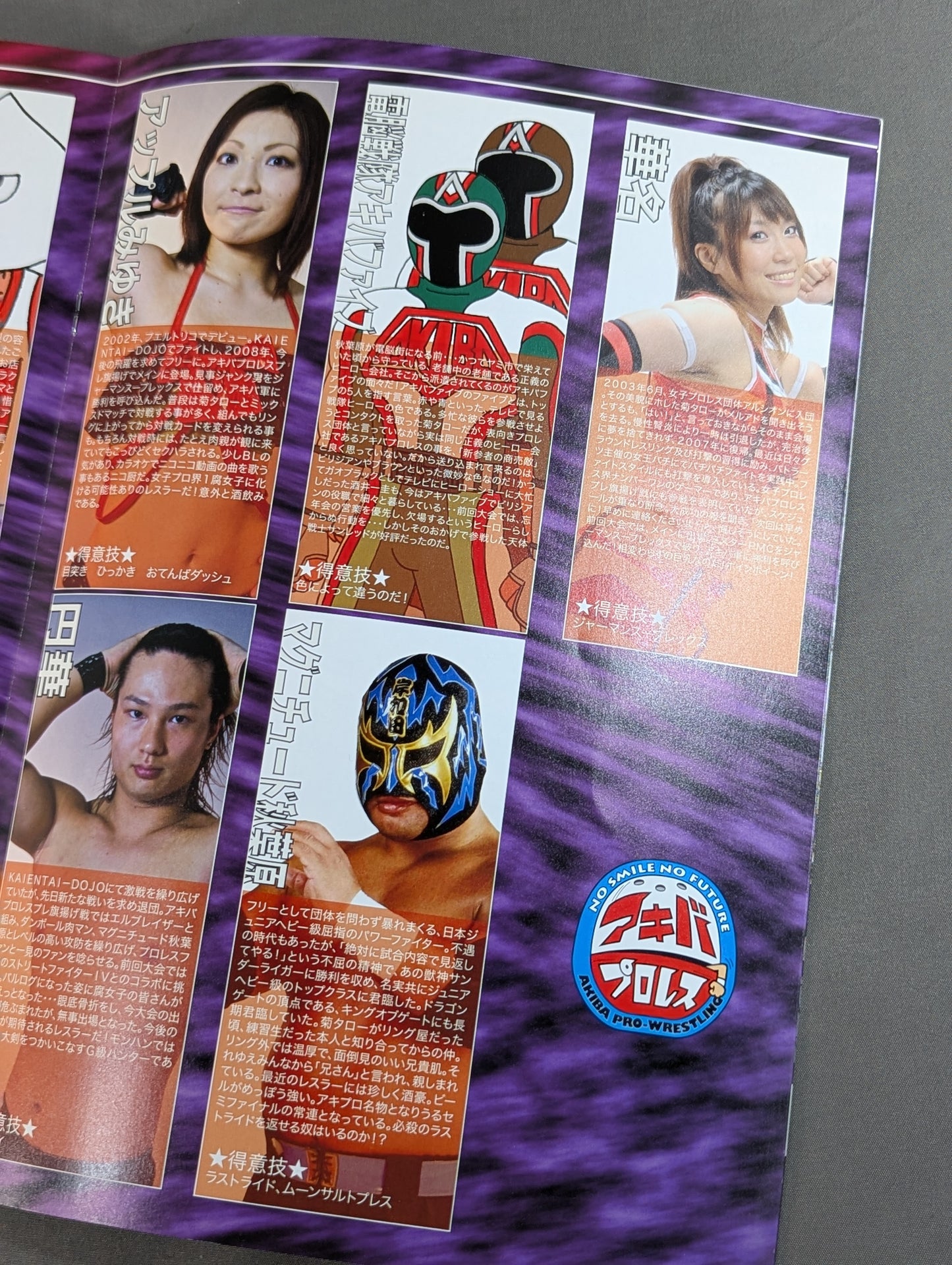 アキバプロレス / アキプロ破壊命令!?