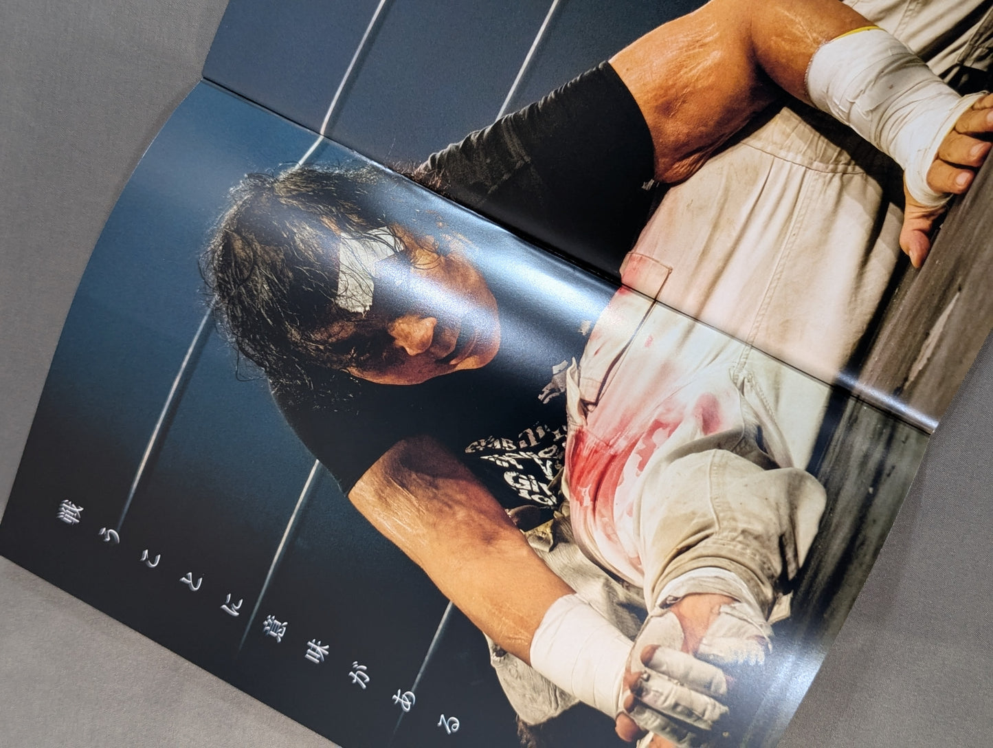 Atsushi Onita  Documentary Film "Fight"