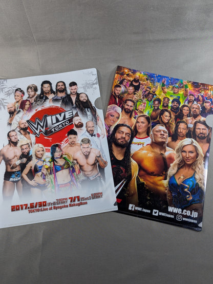 WWE plastic file folder set