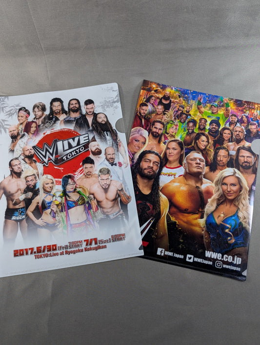 WWE plastic file folder set