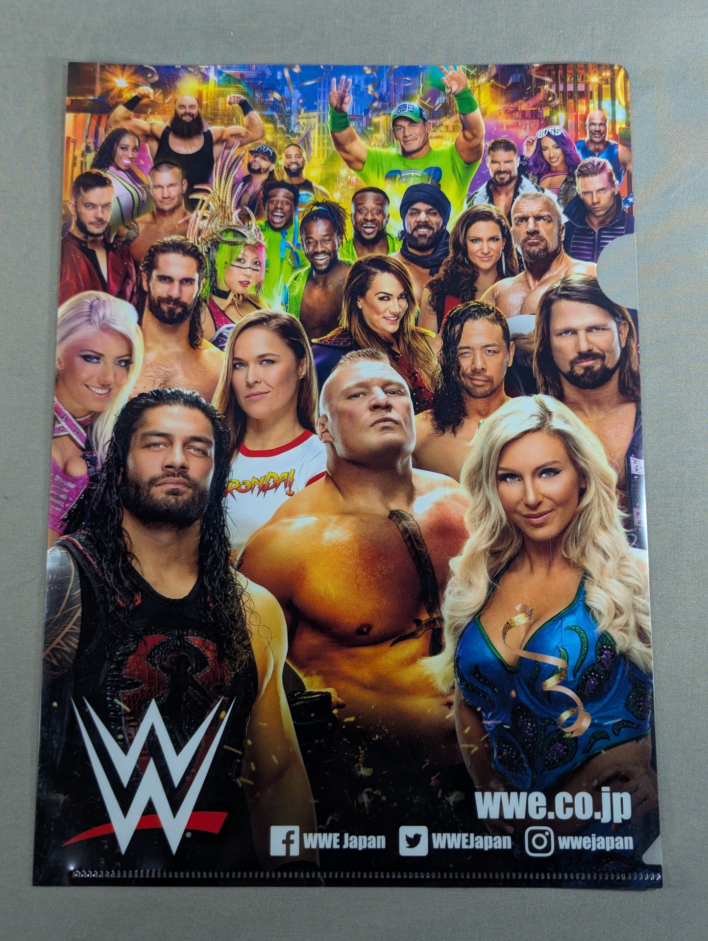WWE plastic file folder set