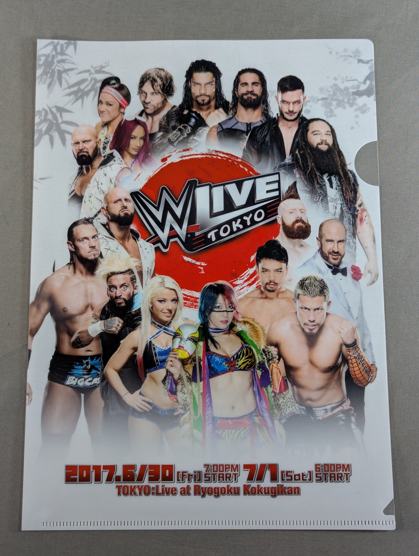 WWE plastic file folder set