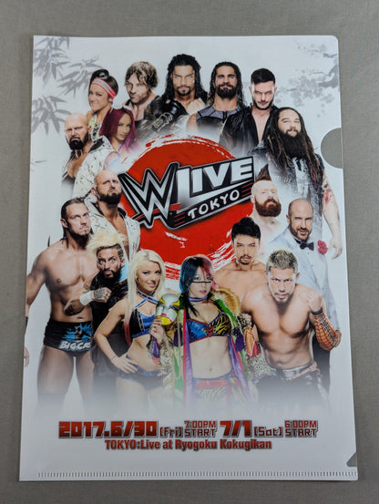 WWE plastic file folder set