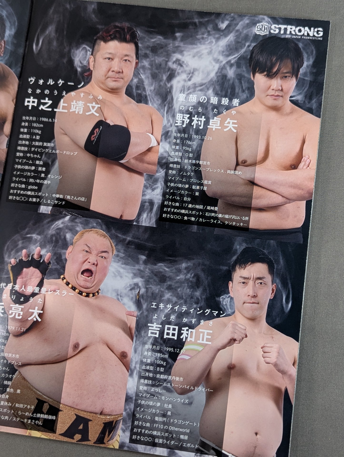 大日本プロレス 公式ガイドブック2025