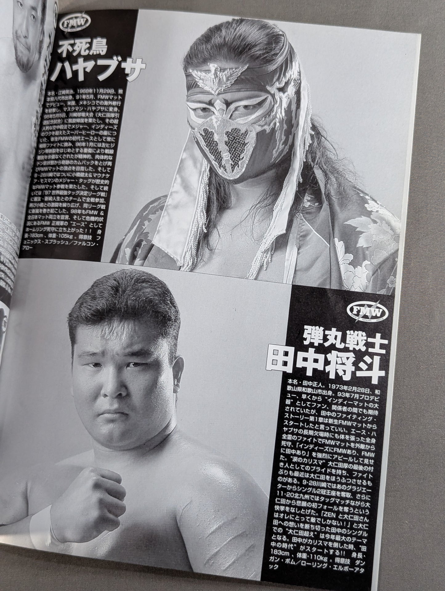 FMW / OFFICIAL GUIDE BOOK 1998 Vol.1