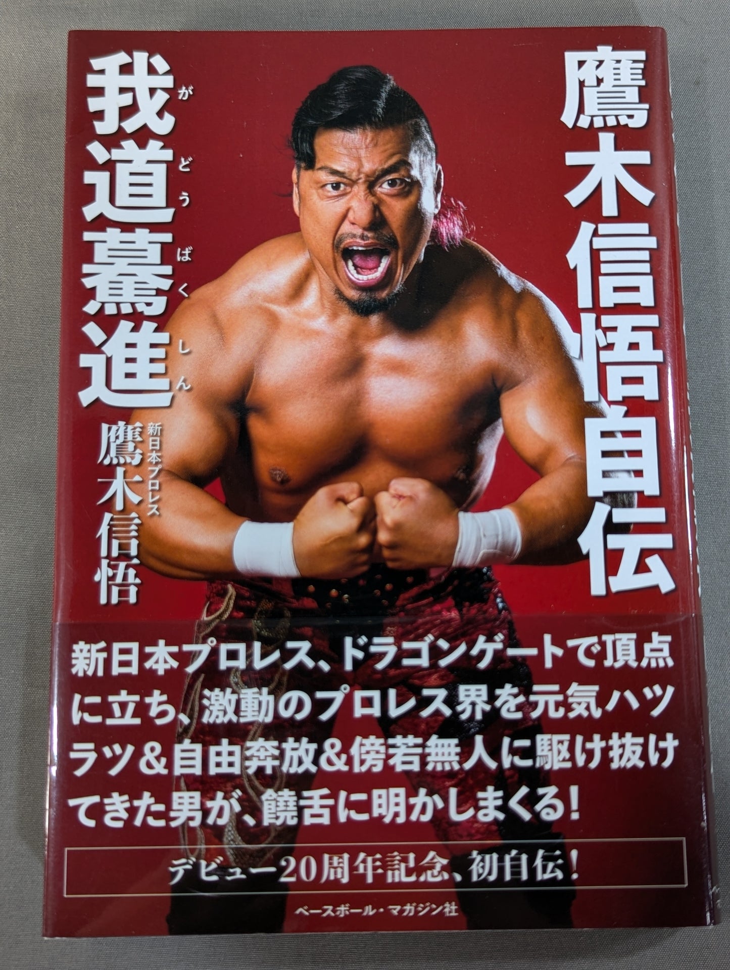 Shingo Takagi  Autobiography