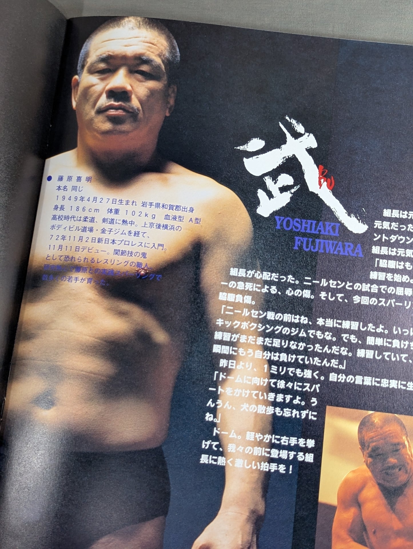 ★ Fujiwara-gumi Tokyo Dome ★ STACK OF ARMS