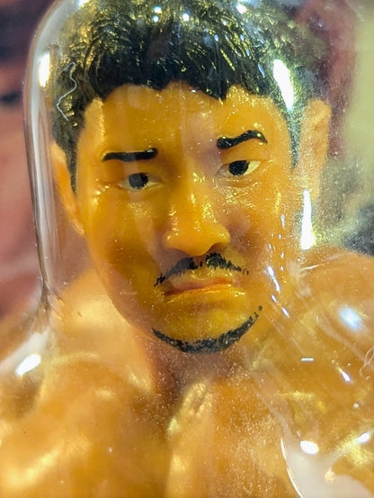 Yuji Nagata  (Blue Tights)