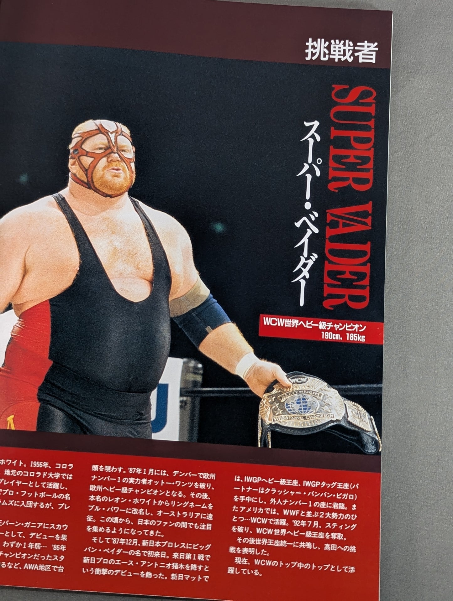 ★高田vsベイダー 初戦★ PRO-WRESTLING WORLD HEAVY WEIGHT CHAMPIONSHIP