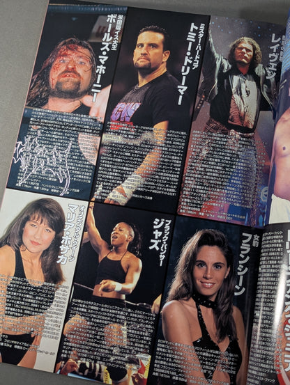 FMW / MAKING OF NEW LEGEND FMW 10th anniversary ｢Thanks & Respect｣