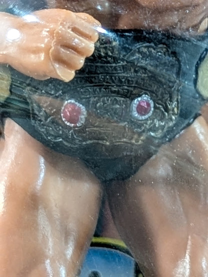 藤波辰巳(WWWFジュニア・ヘビー級ベルト)