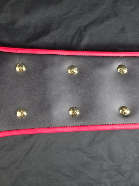 PWF Heavyweight Championship Belt