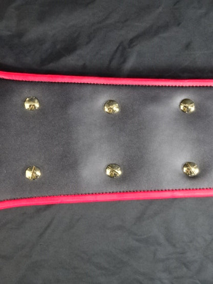 PWF Heavyweight Championship Belt