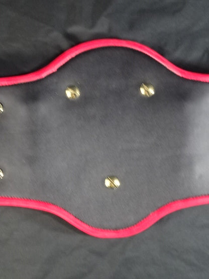 PWF Heavyweight Championship Belt