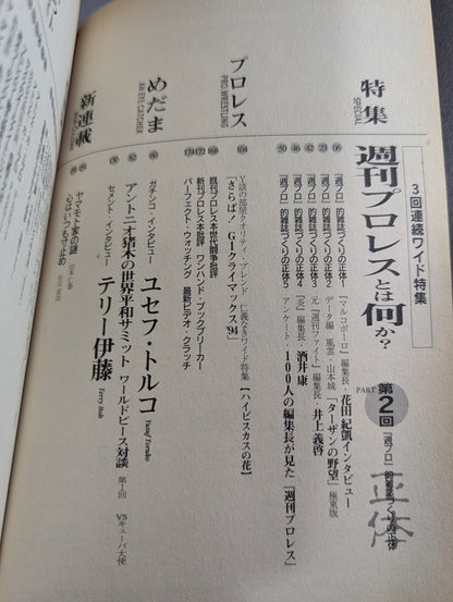 紙のプロレス10